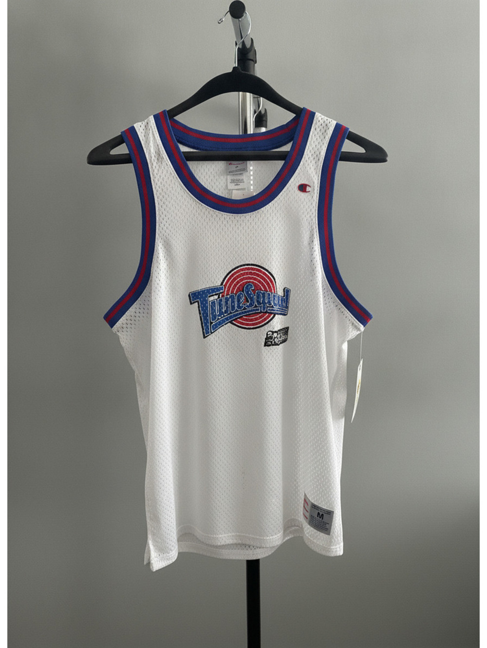 Champion Space Jam Tune Squad Basketball Jersey Size M [COPY]